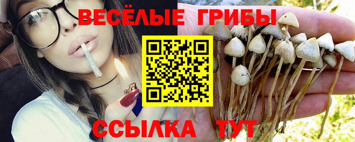Псилоцибиновые грибы Psilocybe  Галлюциногенные грибы MAGIC MUSHROOMS  Алексеевка  Вход с VPN 